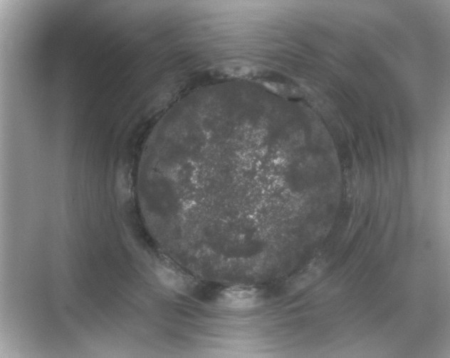 X0000069360606200605121118