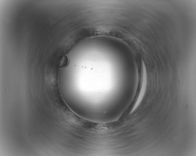 X0000069360608200605121118