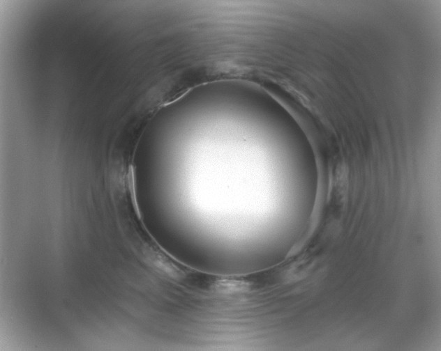 X0000069360617200605121118