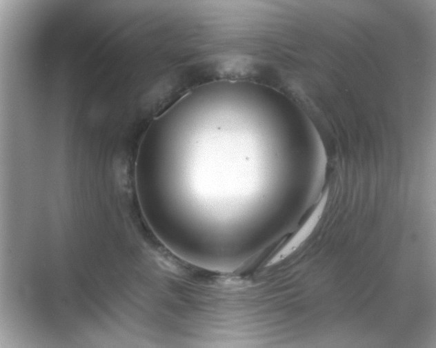 X0000069360619200605121118