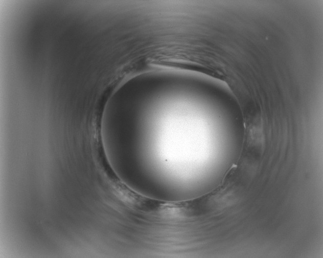 X0000069360620200605121118