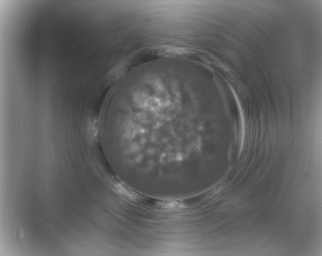 X0000069360621200605121118