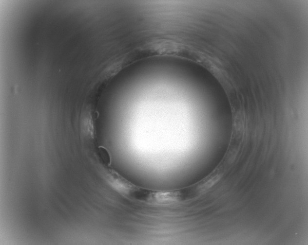 X0000069360622200605121118