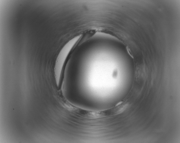 X0000069360623200605121118