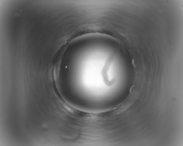 X0000069360624200605121118