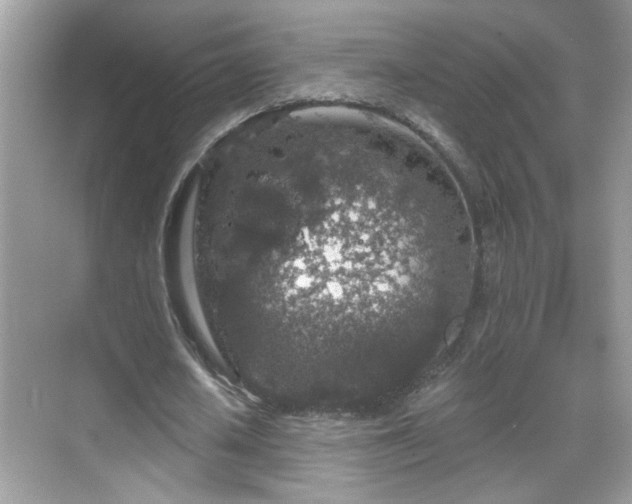 X0000069360626200605121117