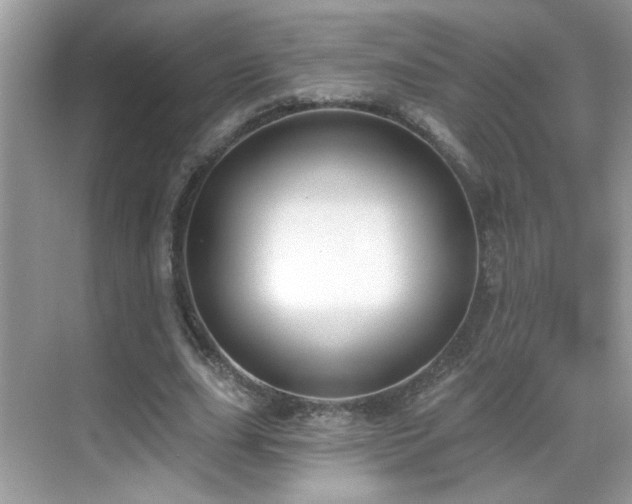 X0000069360631200605121117