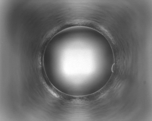 X0000069360633200605121117