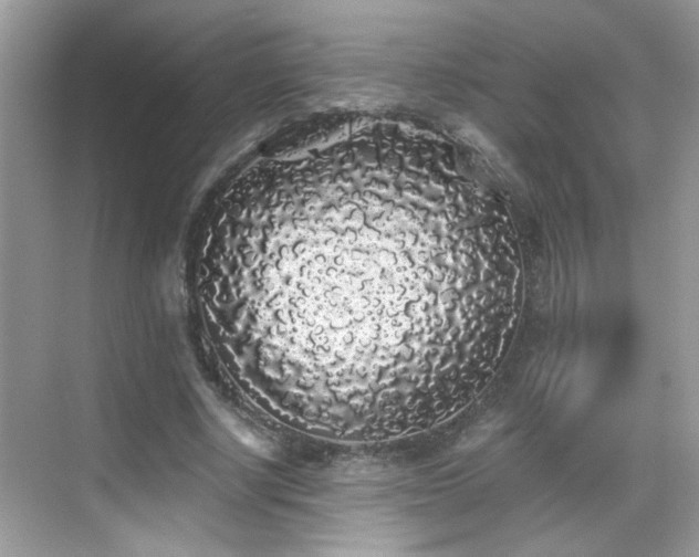 X0000069360634200605121117