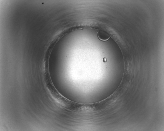 X0000069360636200605121117