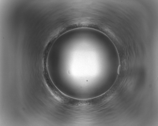 X0000069360638200605121117