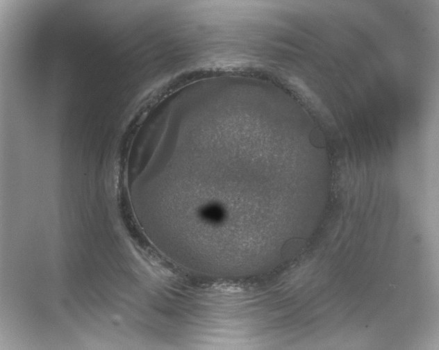 X0000069360640200605121117