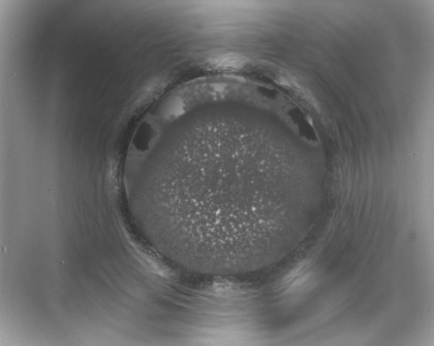 X0000069360641200605121118