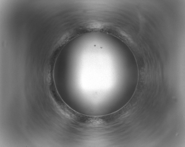 X0000069360642200605121118