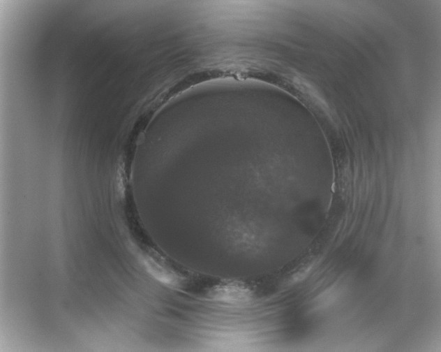 X0000069360644200605121118