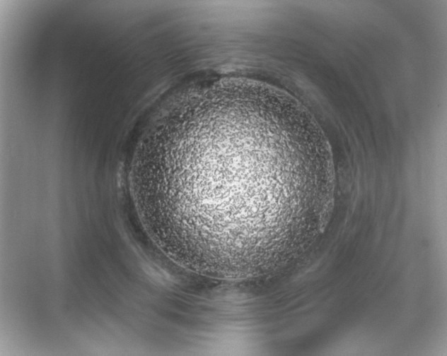 X0000069360648200605121118