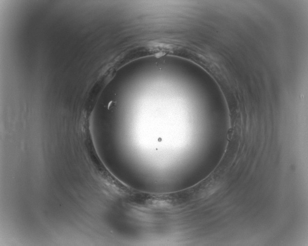 X0000069360649200605121118