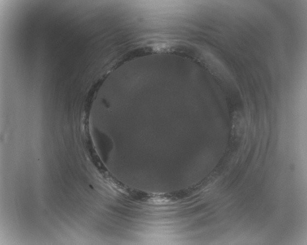 X0000069360650200605121118