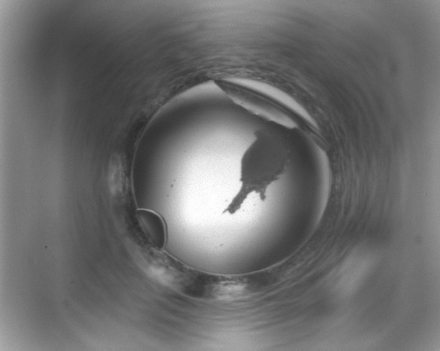 X0000069360651200605121118