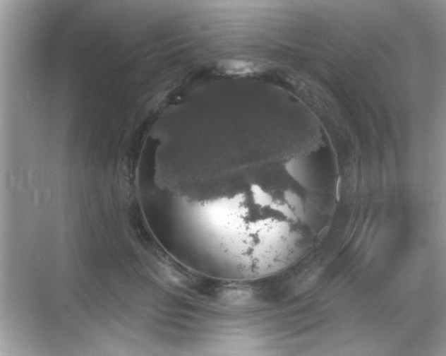 X0000069360653200605121118