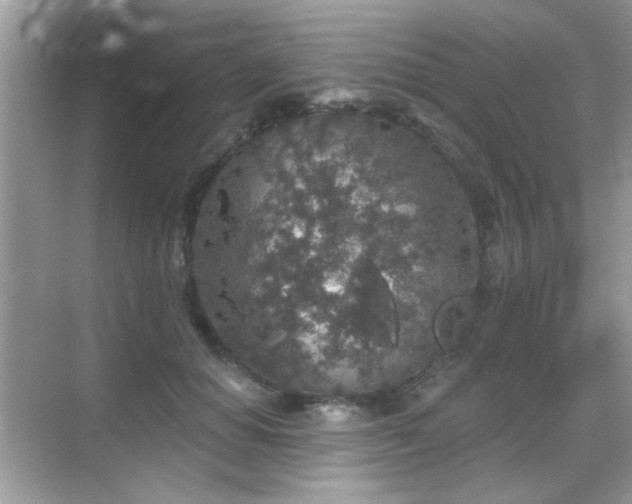 X0000069360654200605121118