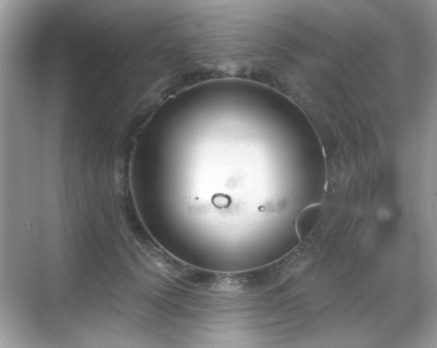 X0000069360656200605121118