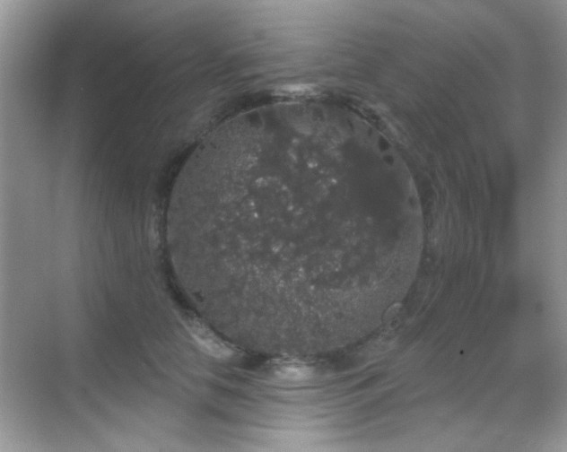 X0000069360658200605121118