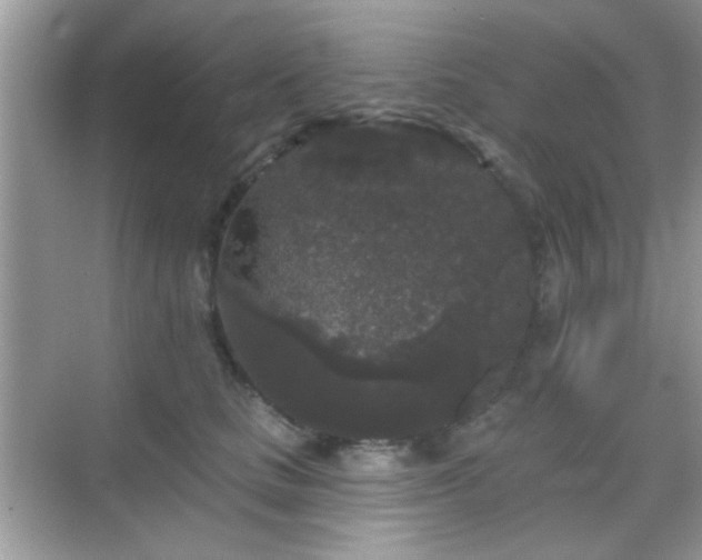 X0000069360661200605121118