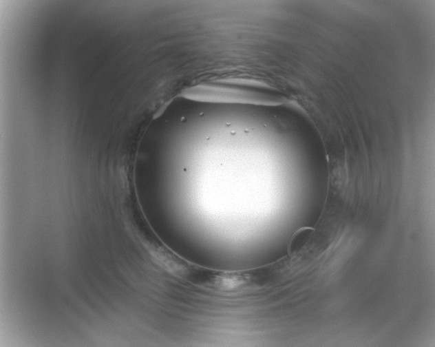 X0000069360662200605121118