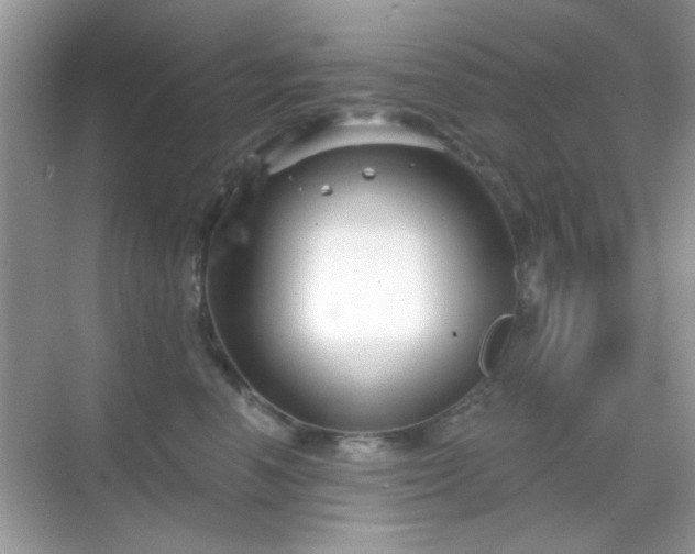 X0000069360666200605121118