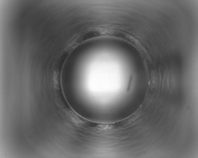 X0000069360667200605121118