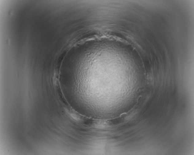 X0000069360671200605121118