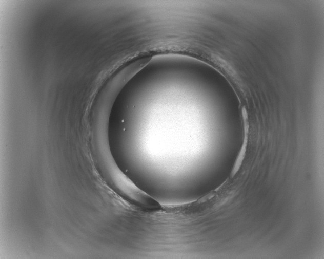 X0000069360673200605121117