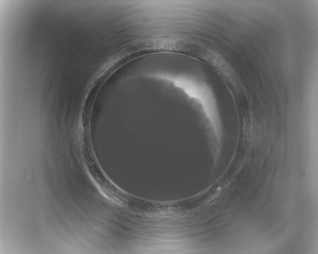 X0000069360674200605121117