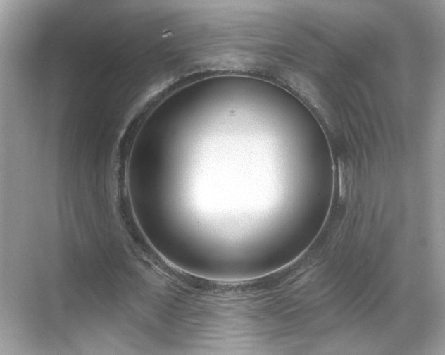 X0000069360675200605121117