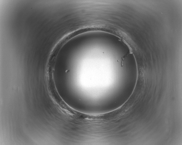 X0000069360676200605121117