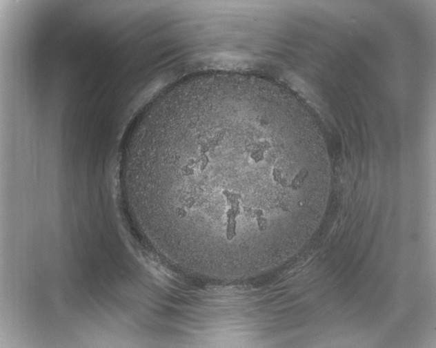 X0000069360679200605121117