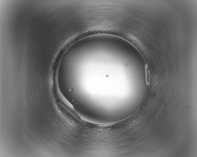 X0000069360680200605121117