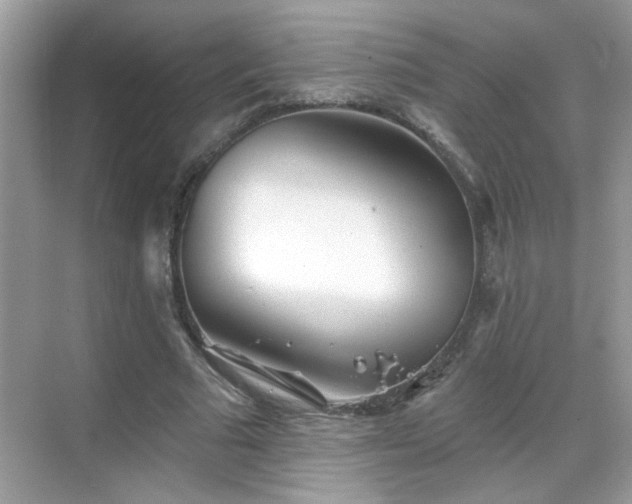 X0000069360681200605121117