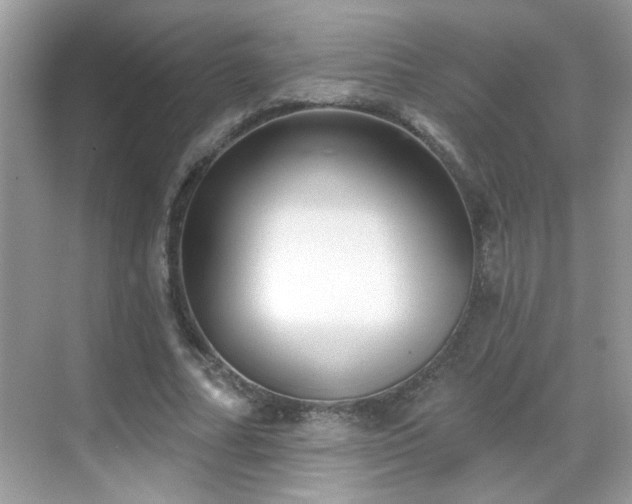 X0000069360682200605121117