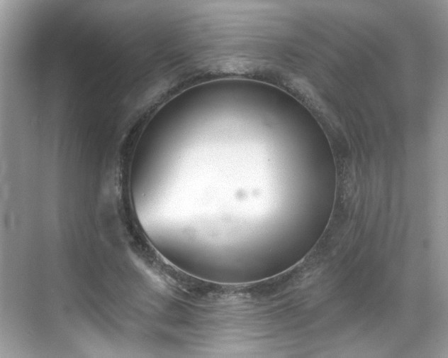 X0000069360683200605121117