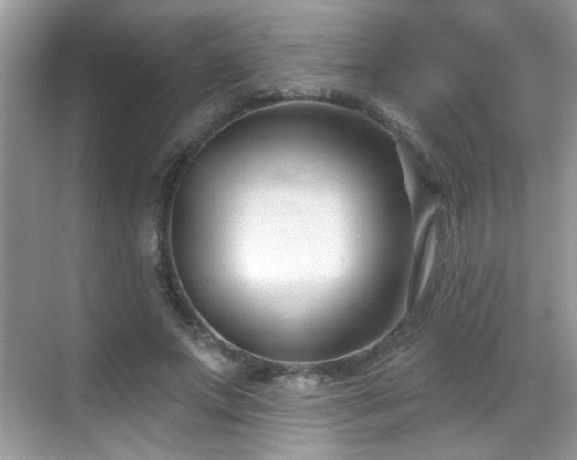 X0000069360687200605121117