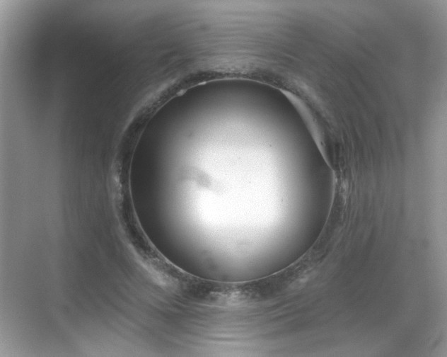 X0000069360688200605121117