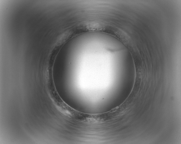 X0000069360690200605121117