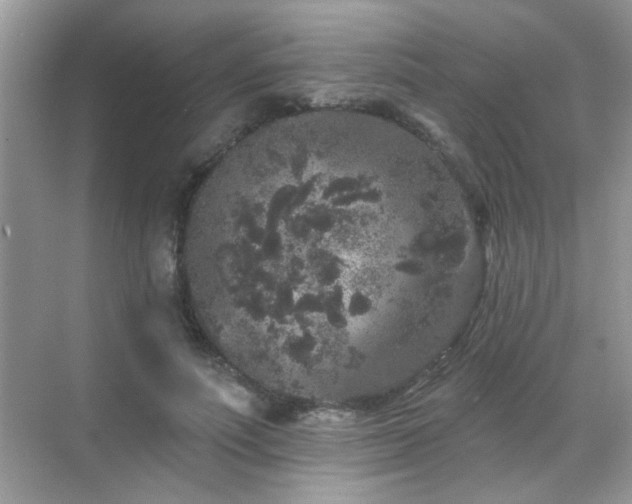 X0000069360691200605121117