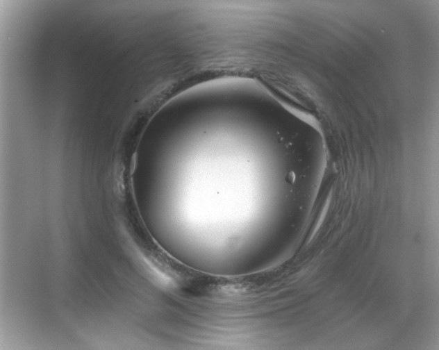 X0000069360692200605121117