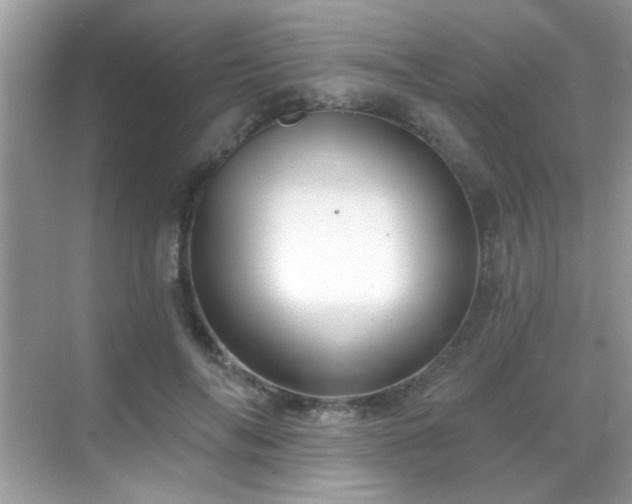 X0000069360694200605121117