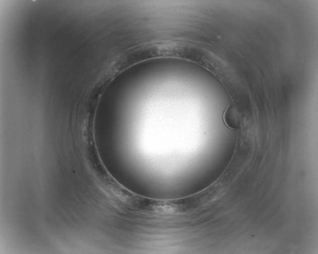 X0000069360698200605121117