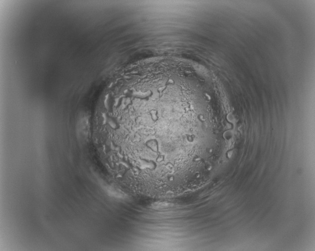 X0000069360699200605121117