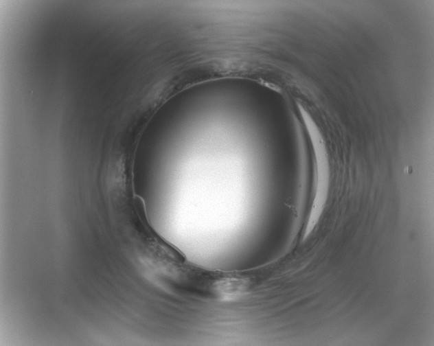 X0000069360700200605121117